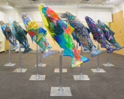 About Envision 3D Studio